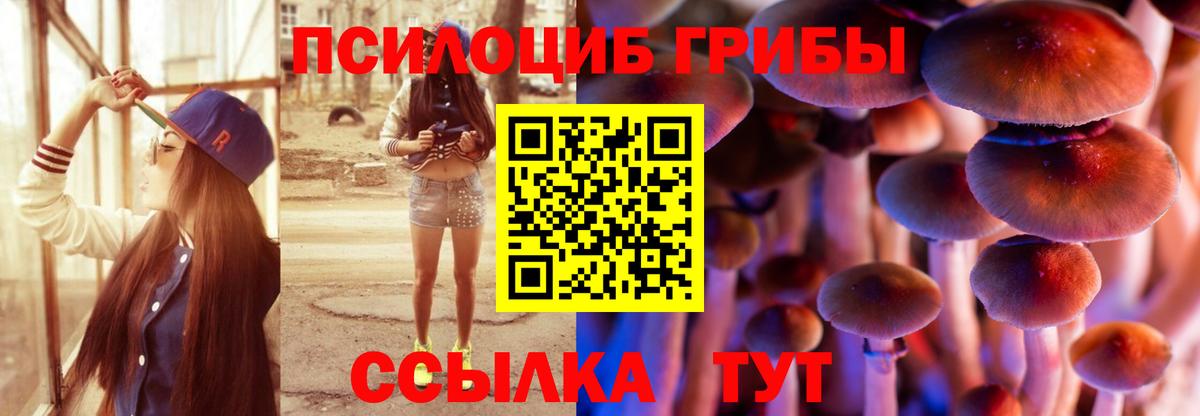 Ливны  Псилоцибиновые грибы ЛСД  Вход с VPN 